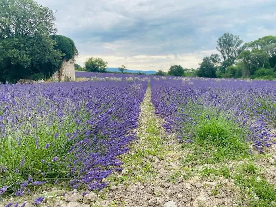 Villa De Plain-Pied Avec Jardin Et Piscine Privee Grignan